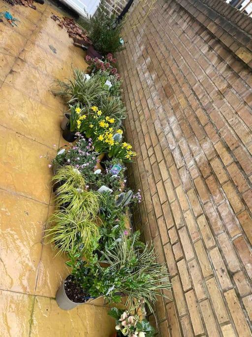 דירות West London Stunning Garden Flat - Period Features מראה חיצוני תמונה
