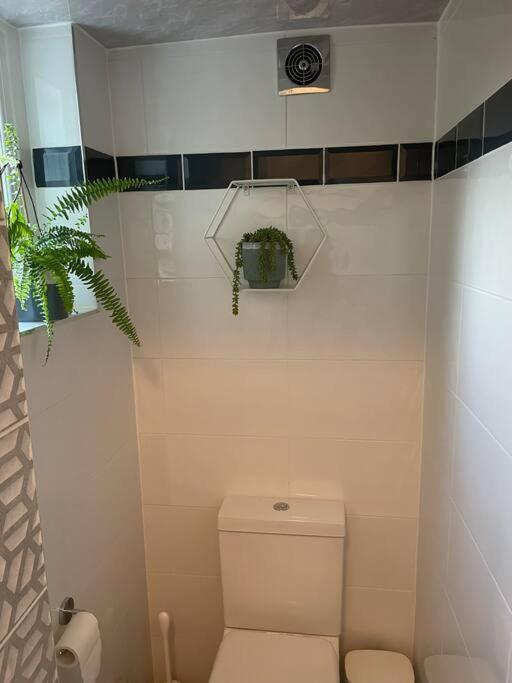 דירות West London Stunning Garden Flat - Period Features מראה חיצוני תמונה